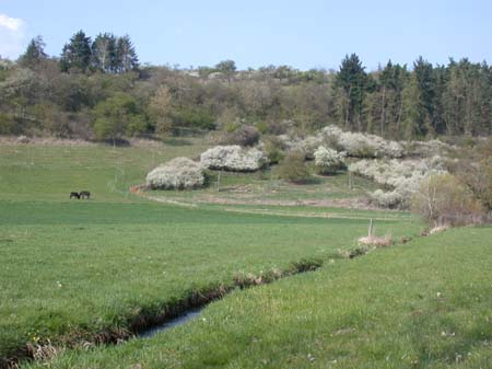 Herbach_valley