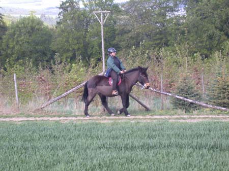Macho_2003_riding