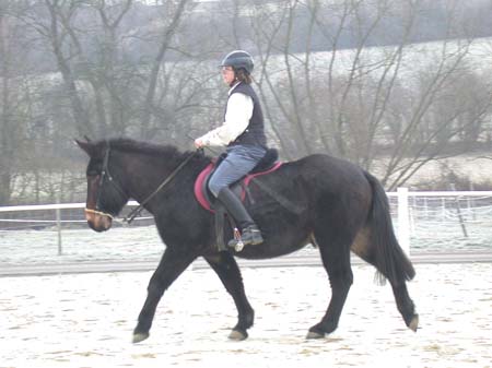 Macho_riding2003