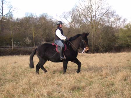 Macho_riding2004