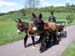 Gustave_David_Cart1