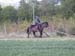 Macho_2003_riding