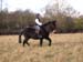 Macho_riding2004