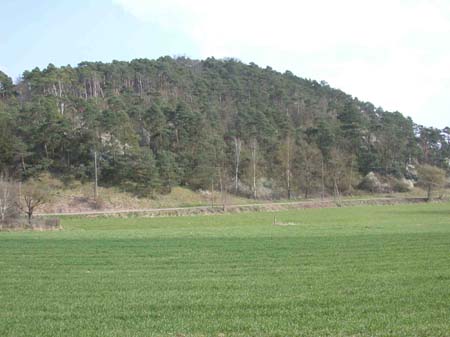 DSCN3008