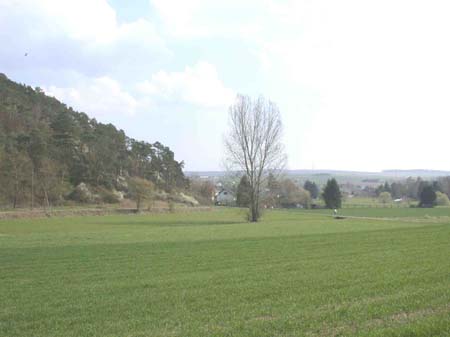 DSCN3009