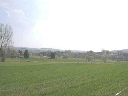 DSCN3010