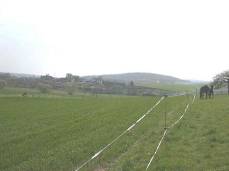 DSCN3011
