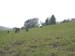 DSCN3026