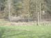 DSCN3032